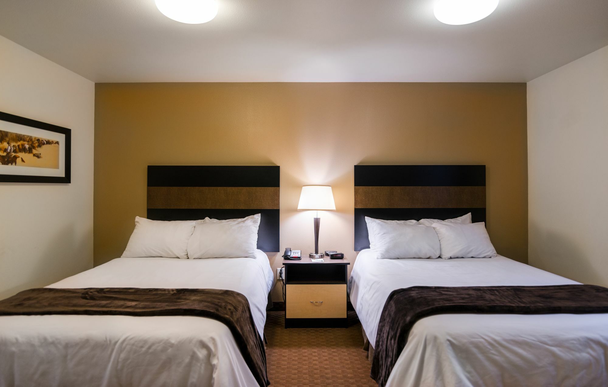 My Place Hotel-Dickinson, Nd Eksteriør billede